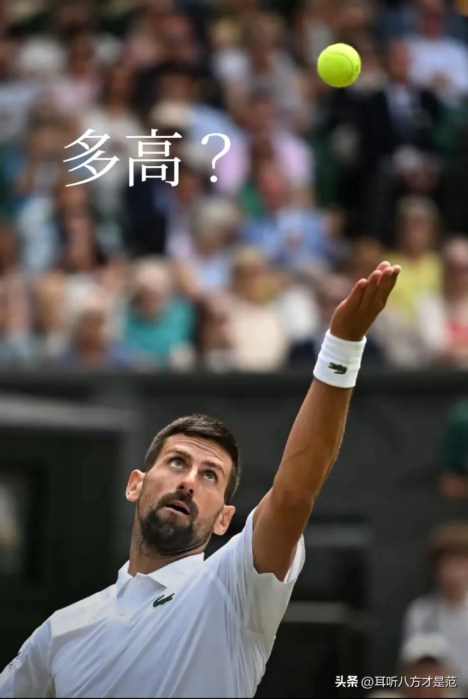 RayBet-德约科维奇迎来三赛季出色发挥,雄鹿观众热烈欢呼!赢得满堂喝彩(德约科维奇终于低头了)